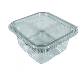 Caserola Transparente  Cu Capac Plat500 Gr Bg