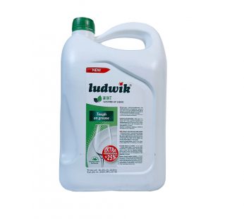 Detergent vase Ludwik bidon 5L